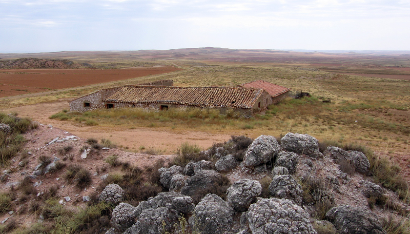 Estepa y monte yes�fero