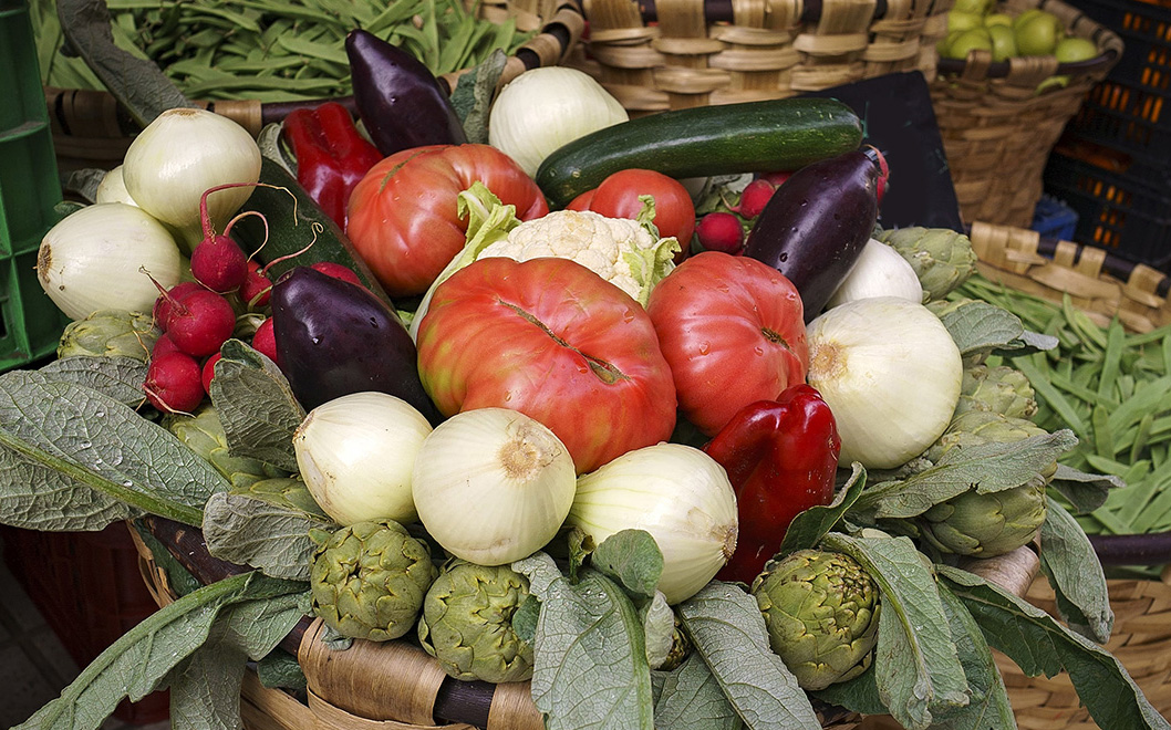 Huerta tradicional de Quinto de Ebro