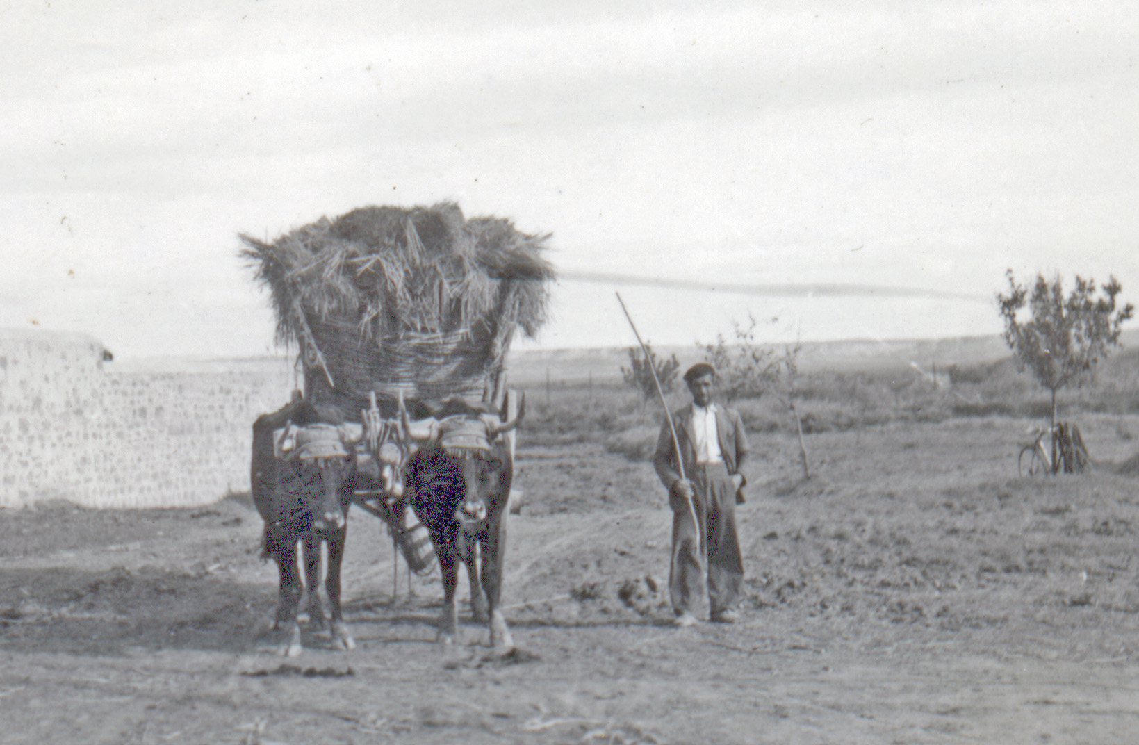 Oficios tradicionales